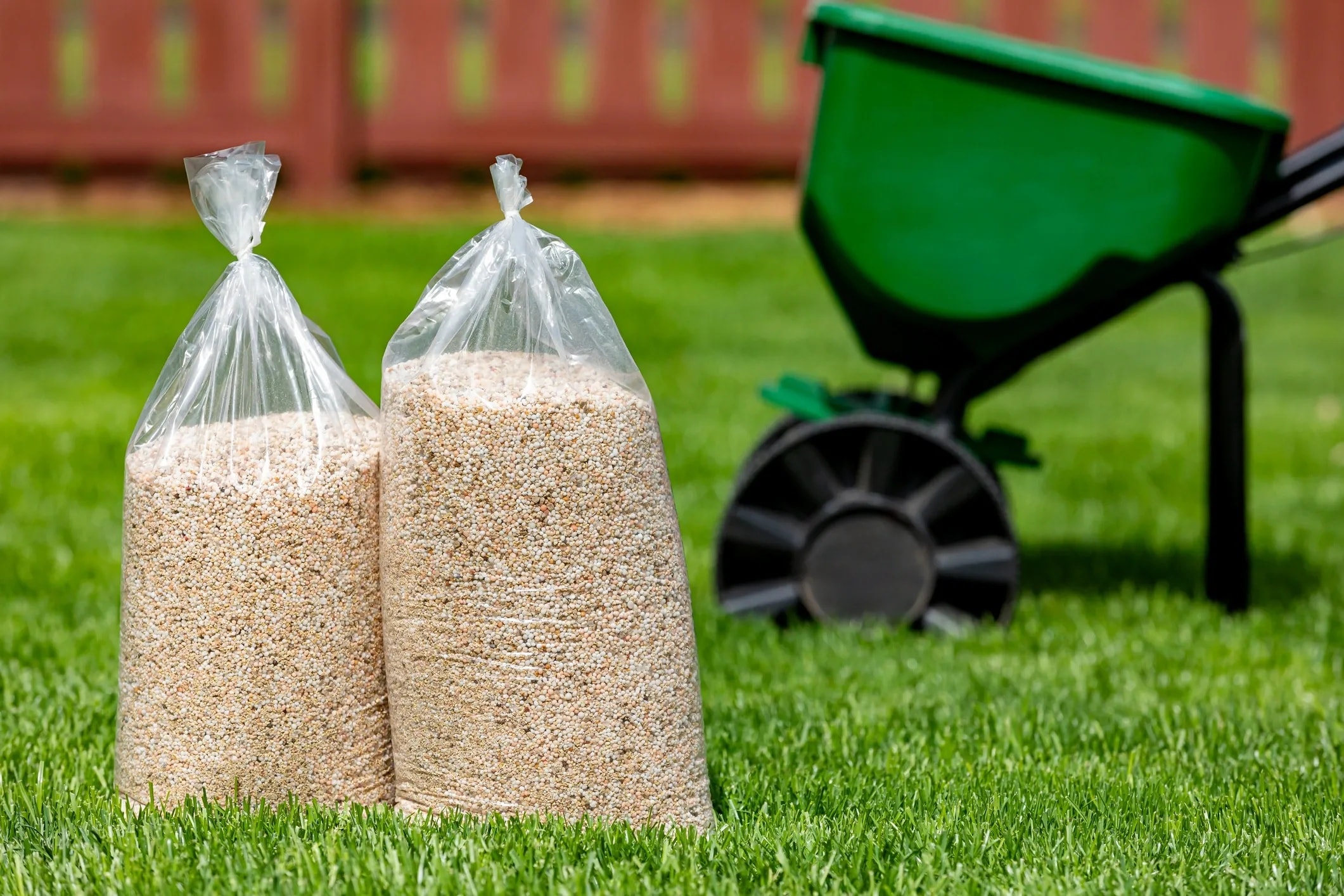 Healthy green residential lawn after professional fertilization and weed control